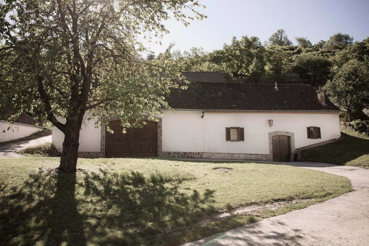 Ferienwohnung Am Weingut Eisenbock Strass  Esterno foto
