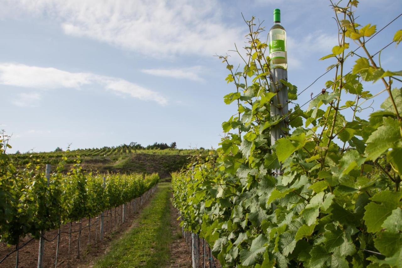 Ferienwohnung Am Weingut Eisenbock Strass  Esterno foto