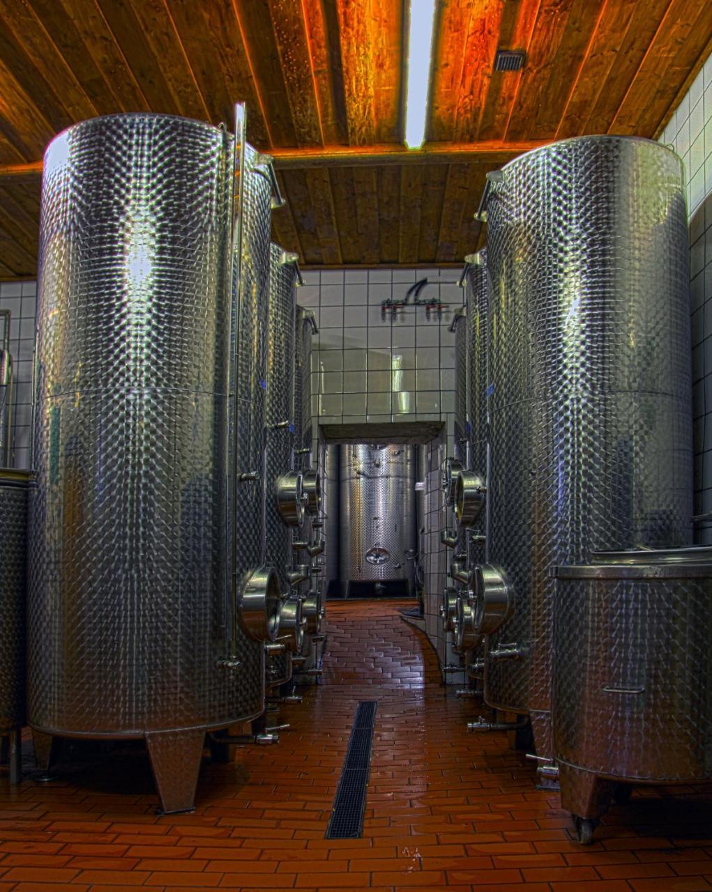 Ferienwohnung Am Weingut Eisenbock Strass  Esterno foto